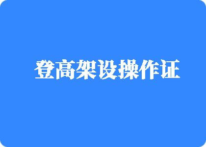 欧美网站射精登高架设操作证